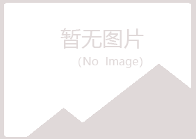 大同紫山服务有限公司